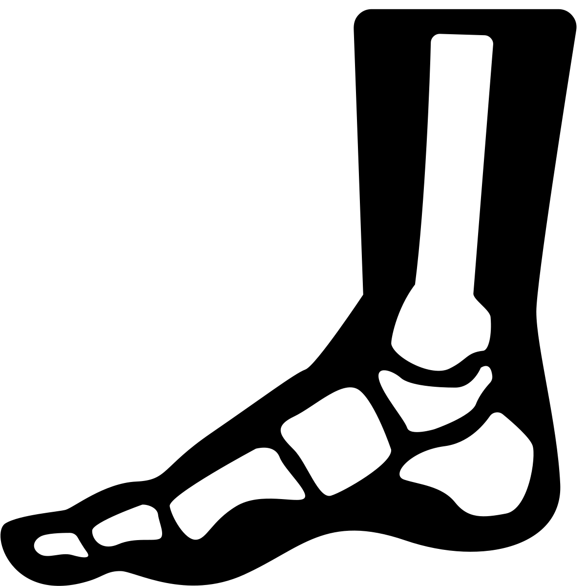 Lower Limb